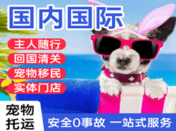 江北机场快运国际宠物托运 【国